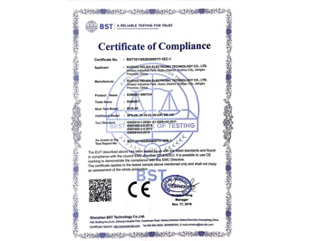 拉姆齐开关欧盟CE强制认证-1EC-1